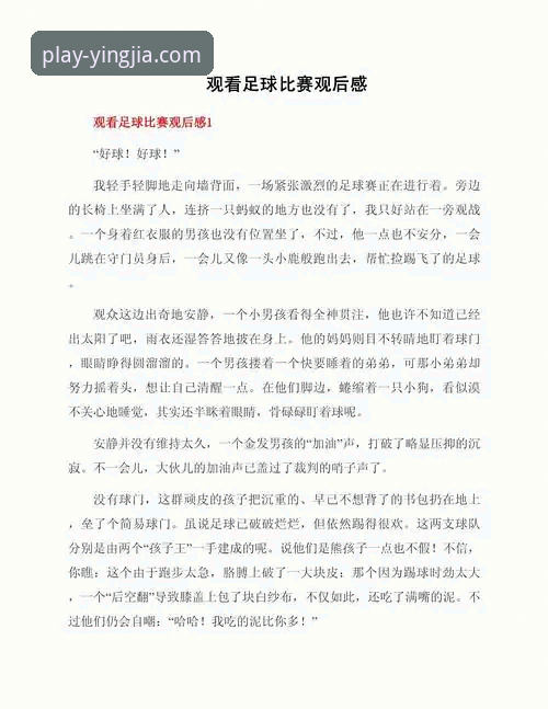 盈嘉体育官网入口 从伊朗队世界杯遭遇看赛事体验差异——资深体育迷的观赛心得分享